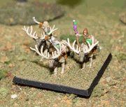 Wood Elf Cavalry Command on Elk