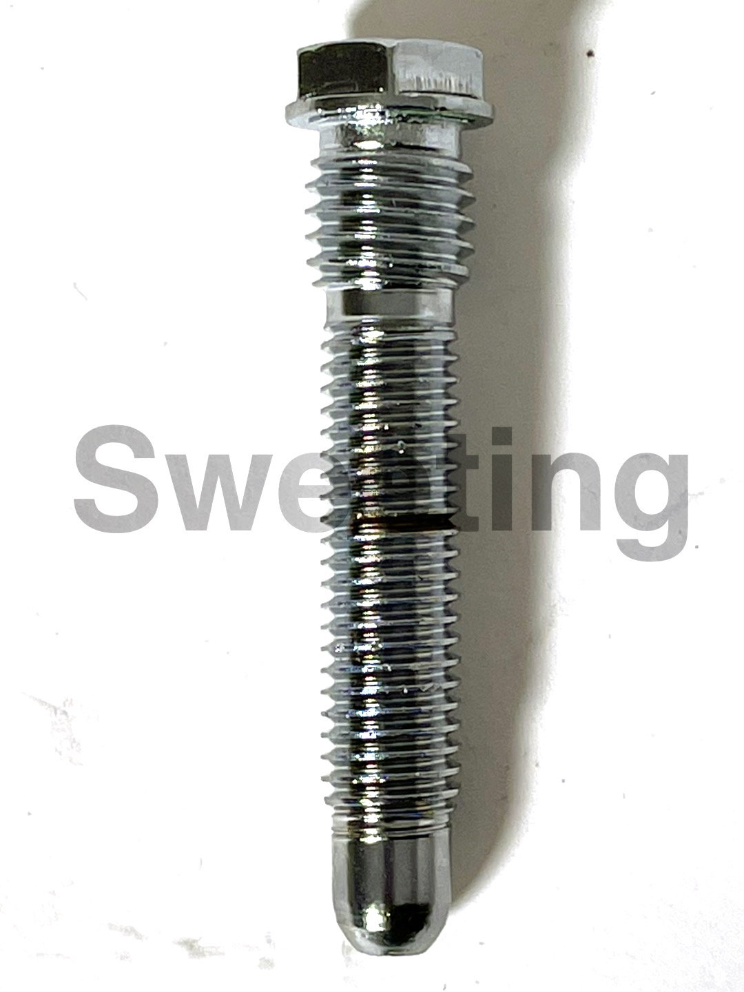 Sweeting Performance HydroBoost Master Cylinder Bolt Chromed