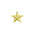 1/2 Inch Gold Star Chenille Pin