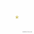 1/2 Inch Gold Star Chenille Pin