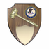 11 x 13 Inch Walnut Veneer Department of Justice Medallion, Gavel and Shield Plaque