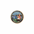 7/8 Inch Round Etched Enameled Colored State Seal of California Brass Metal Medallion Decal Disc-Peel and Stick Back