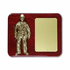 8 x 10 Inch Piano Finish Rosewood Fire Fighter Plaque with Electroplated Brass Figure & Matte Gold Engraving Plate