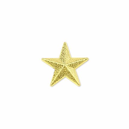 1/2 Inch Gold Star Chenille Pin