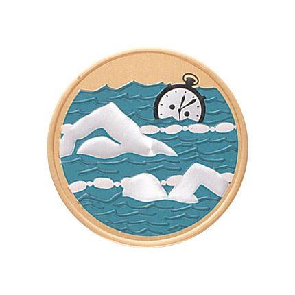 2 Inch Round Raised and Color Printed Swimming Aluminum Metal Medallion Decal Disc-Peel and Stick Back
