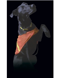 Jogalite Reflective Dog Vest