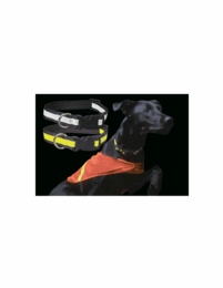 Reflective Pet Wear