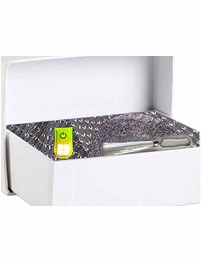 Winter Holiday Gift Box