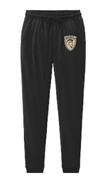 UNISEX BLACK JOGGER PANT WITH 2 COLOR PRINTED LOGO