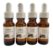 Solstices & Equinoxes