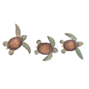 Baby Turtles Set of 3