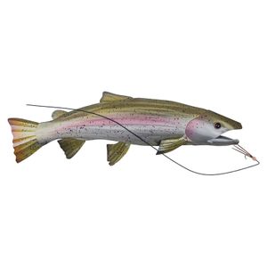 Steelhead Trout MM254 Steelhead Trout MM254