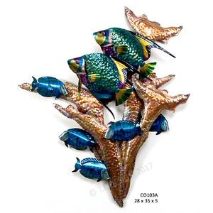 Angelfish Copper Reef Angelfish Copper Reef