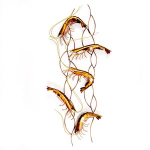 Dancing Shrimp Vertical Wall Dancing Shrimp Vertical Wall