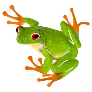 TREE FROG METAL WALL ART