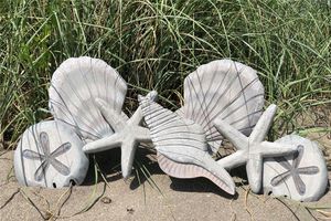 LARGE SHELL COLLECTION SOLID WOOD CW055 GRAY