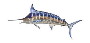 Marlin Stunner Metal Wall Hanging