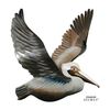 Pelican Flying -  Metal Wall Art