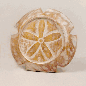 Sandollar Coaster Set