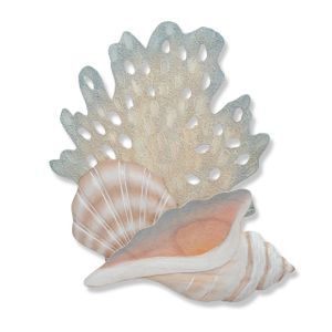 Shells with Sea Fan CW463