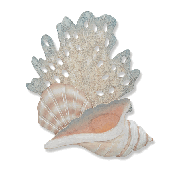 Shells with Sea Fan CW463