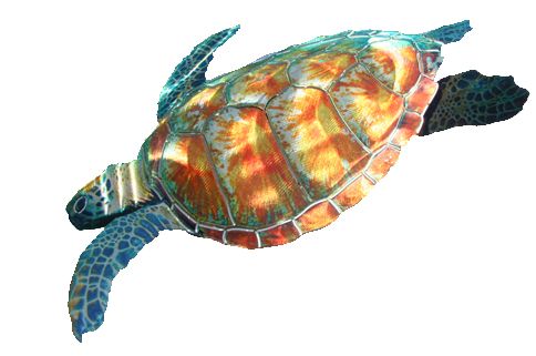 Swimming Sea Turtle Metal Wall Hanging