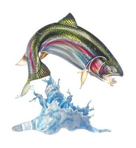 SALMON METAL WALL ART SALMON METAL WALL ART
