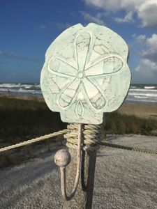 Wooden Sand Dollar Single Hook Aqua