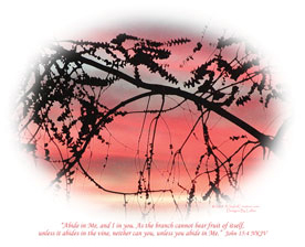 "Abide" Christian Photography - Unframed Christian Art