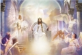 All Hail King Jesus by Danny Hahlbohm - 5 Options Available