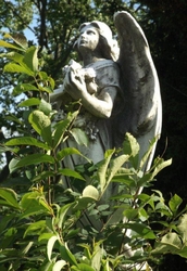 An Angel of Peace - Unframed Christian Art