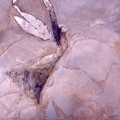 Angel (White) by J. Kirk Richard - 5 Unframed Selections