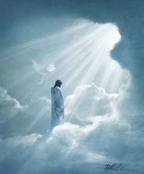 Ascension by Danny Hahlbohm - 6 Unframed Options