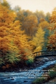 Autumn Stream by Charles White - 6 Framed & Unframed Options