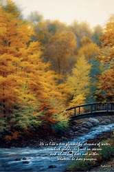 Autumn Stream by Charles White - 6 Framed & Unframed Options