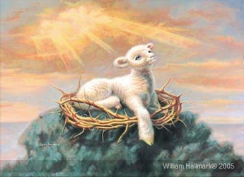 Behold the Lamb by William Hallmark - 5 Unframed Options