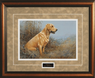 "Charlie" by Scott Zoellick Golden Labrador Art