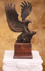 Eagle by Niels Andersen