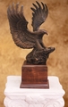 Eagle by Niels Andersen