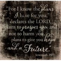 For I Know The Plans Pallet Decor - Christian Home & Wall Decor