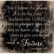 For I Know The Plans Pallet Decor - Christian Home & Wall Decor