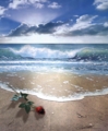 Gift From The Sea by Danny Hahlbohm - Unframed Christian Art