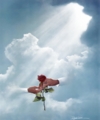 Gift of Love by Danny Hahlbohm - Unframed Christian Art
