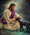 Gentile Shepherd by Nathan Greene