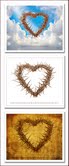Heart of Thorns by Vicki Knapp - 3 Unfraamed Options