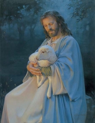 I Know My Sheep by Kathy Lawrence - 8 Options Available