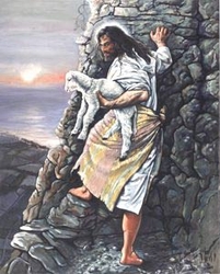 In Harm's Way by Stephen S. Sawyer - 12 Options Available