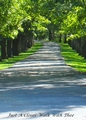 Just A Closer Walk With Thee Christian Photograph - 3 Sizes Available