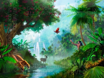 Life In Paradise - 13 Selections Available