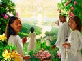 Paradise Restored - 13 Selections Available